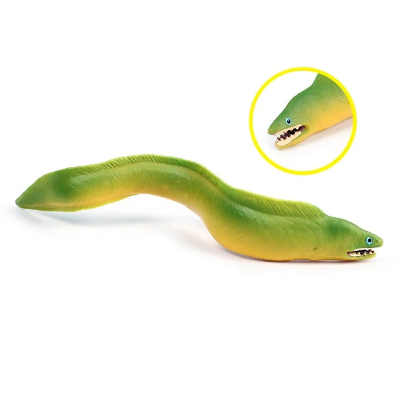 Figurine Poisson Congre – Image 3